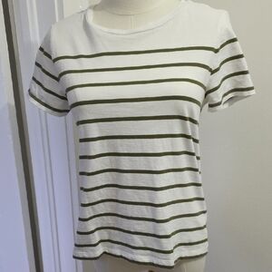 Max Studio White Tee with Olive Green Stripes